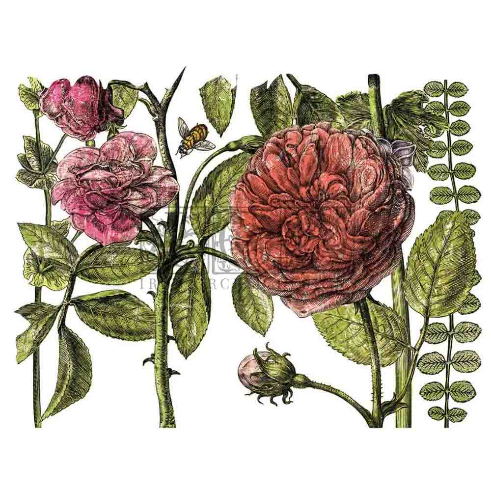 IOD Botanist's Journal Decor Transfer - Iron Orchid Designs - 4 Sheets