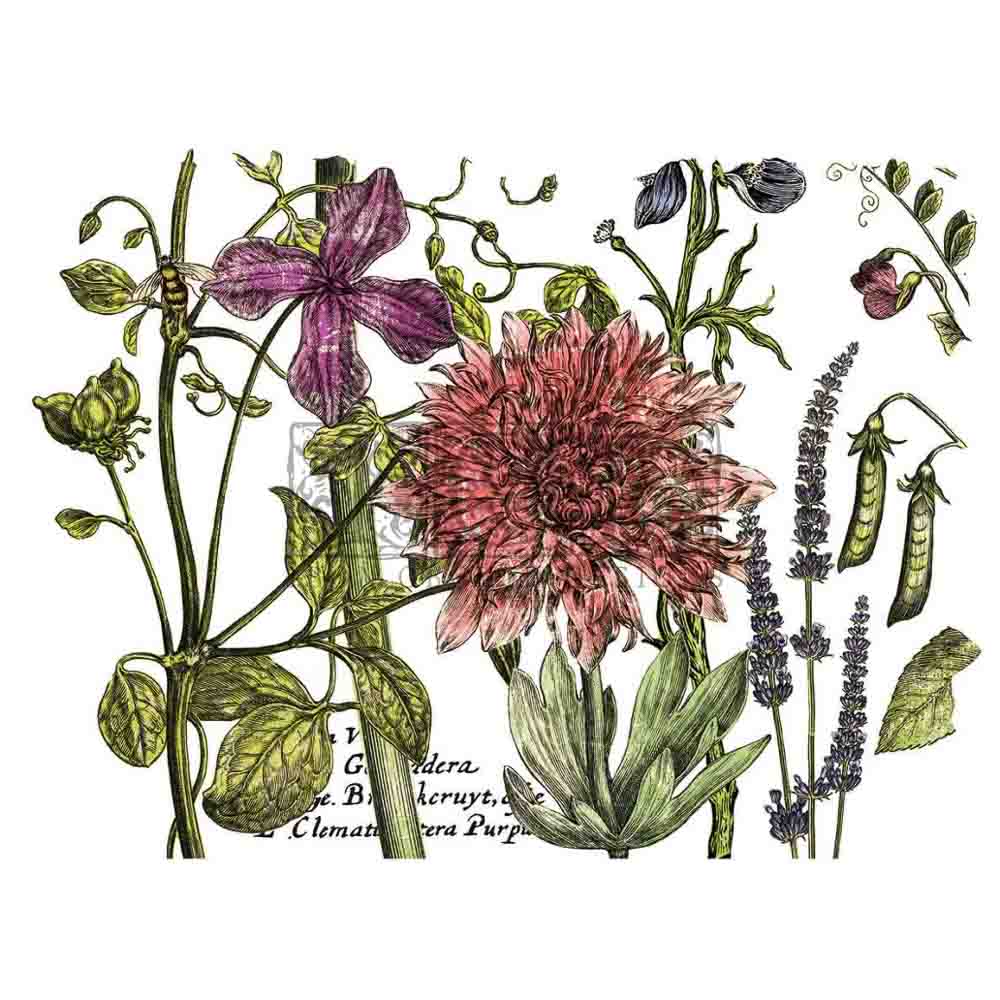 IOD Botanist's Journal Decor Transfer - Iron Orchid Designs - 4 Sheets
