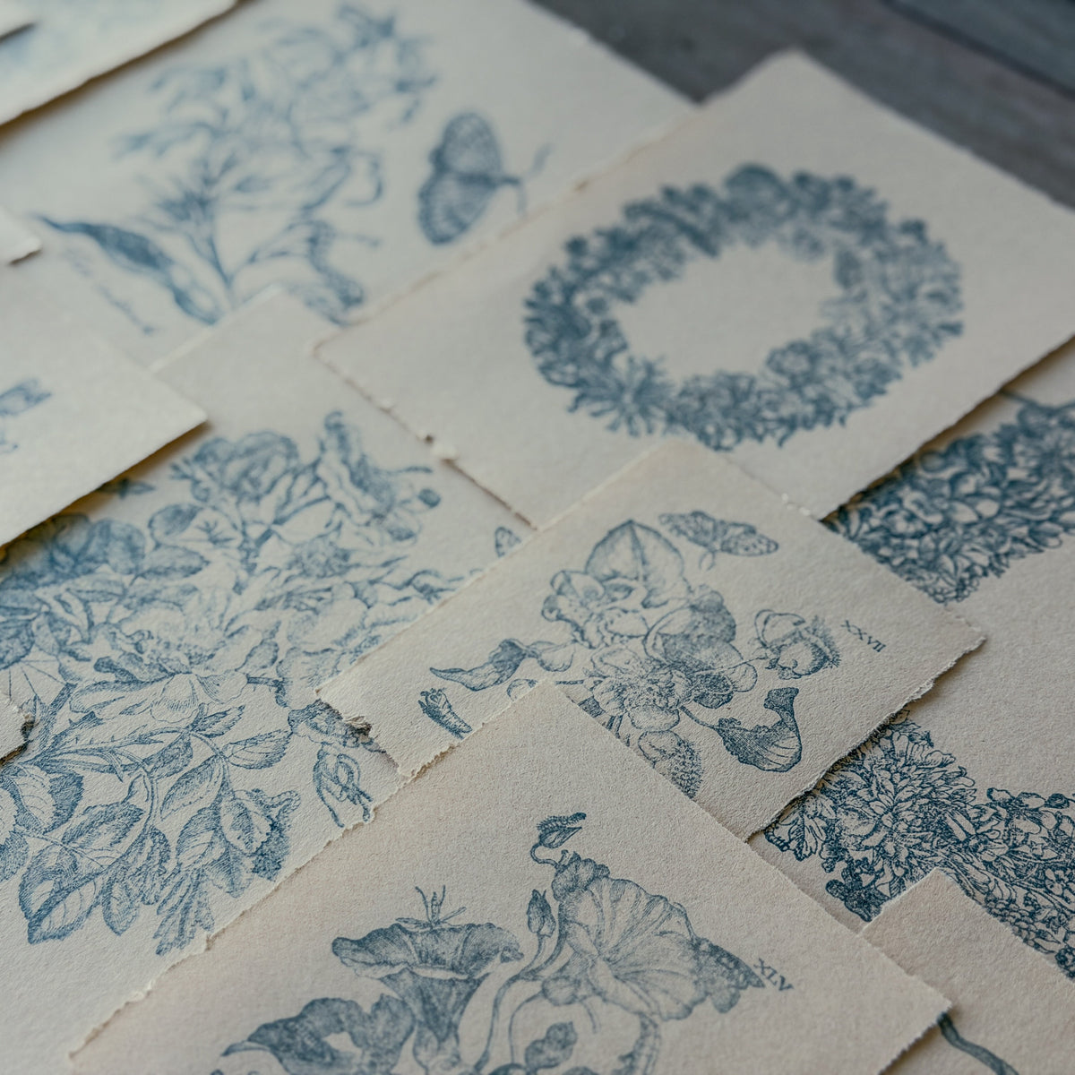 IOD Nature's Etchings Decor Stamp by Iron Orchid Designs - Summer 2026