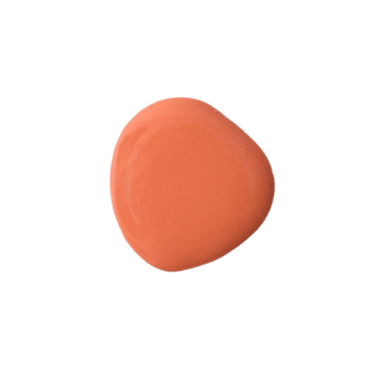 Salmon Farmhouse Finishes Safe Paint - Natural Milk Paint for Walls