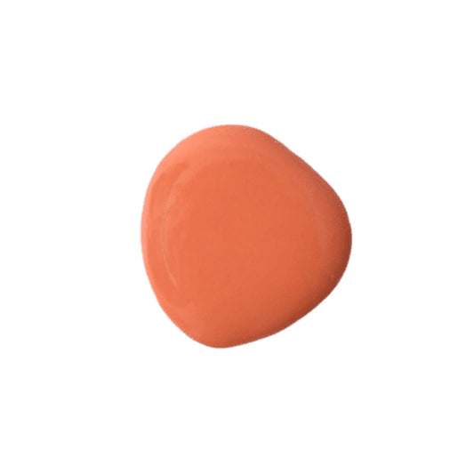 Salmon Farmhouse Finishes Safe Paint - Natural Milk Paint for Walls