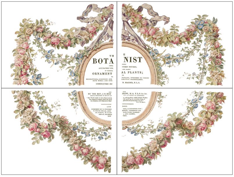 IOD The Botanist Decor Transfer – Four 12 x 16 Inch Sheets - Retired